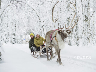 罗瓦涅米驯鹿农场