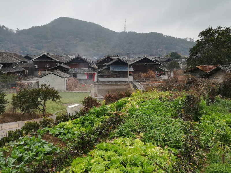 真像一把太师椅,这正是"左青龙,右白虎,前朱雀,后玄武"风水宝地