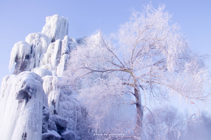 北國風光,千里冰封,萬里雪飄——許你一段冰雪奇緣