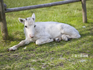 拉努阿野生动物园