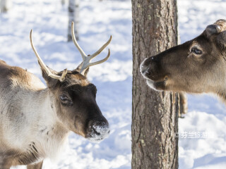 拉努阿野生动物园