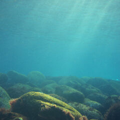 Underwater landscape, Izu Peninsula