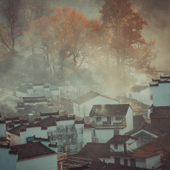 Wuyuan Shicheng Autumn Color