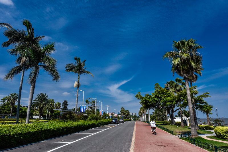          环岛路