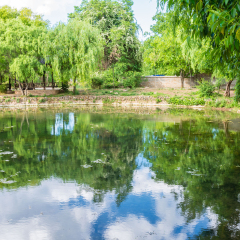 束河古镇
