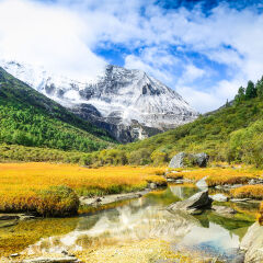 景点模块 
