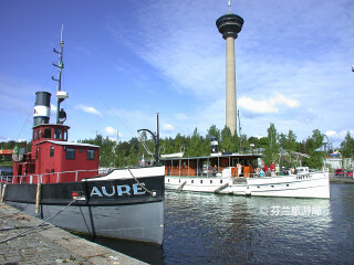 奈辛内乌拉观景塔