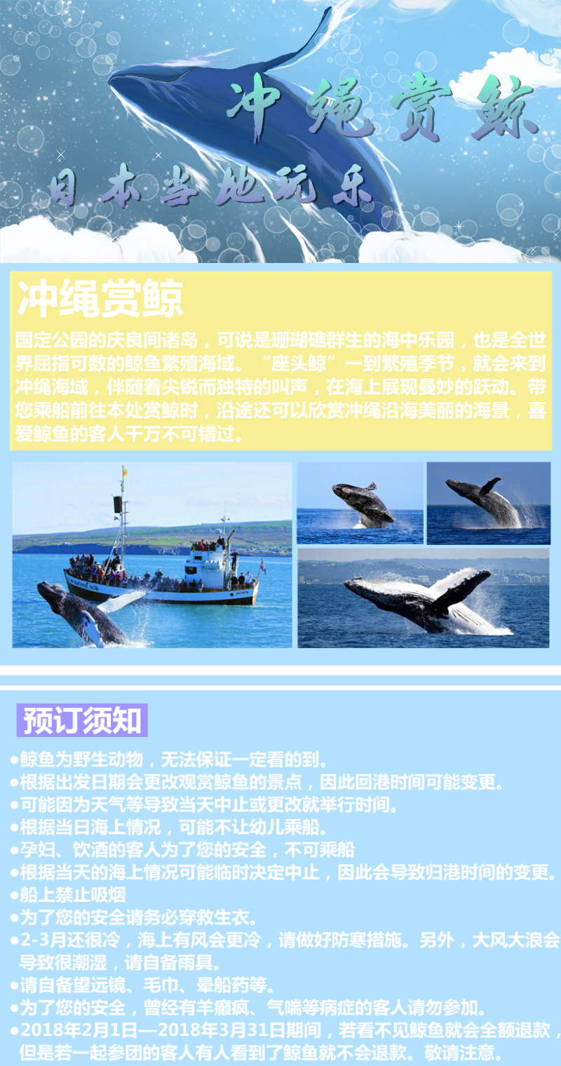 绳出海赏鲸之旅 一人即成团 配备中文或英文导