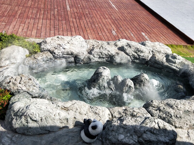 这里是泉眼!    水温很高,一直在冒泡泡!