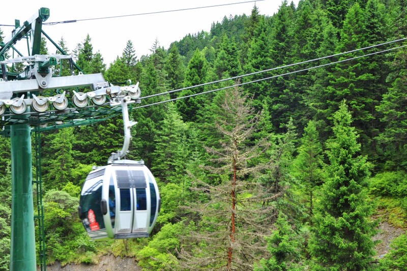 【途牛首发】#猎艳行动#天府之地,成都九寨7日行(下)