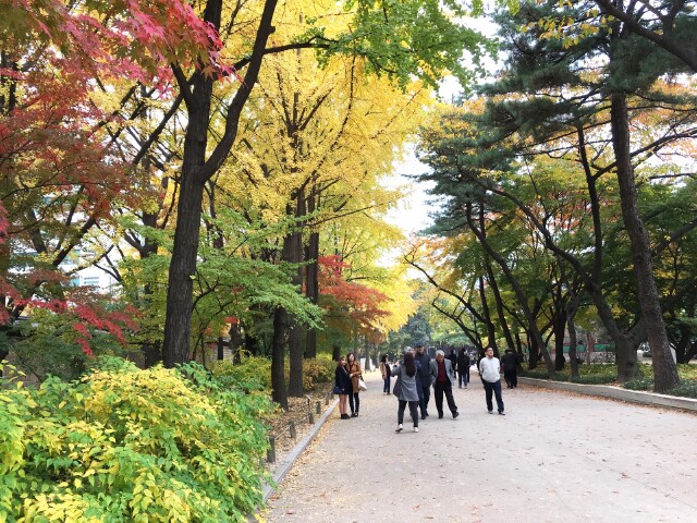 浪漫的邂逅 首尔五天游记 梨花女子大学 攻略游记 途牛