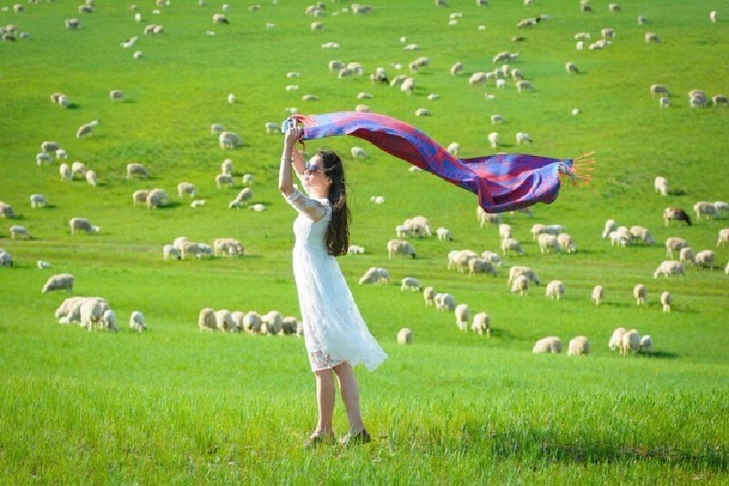 那片深藏在心的蔚蓝也在你奔赴草原的途中变得真真切切