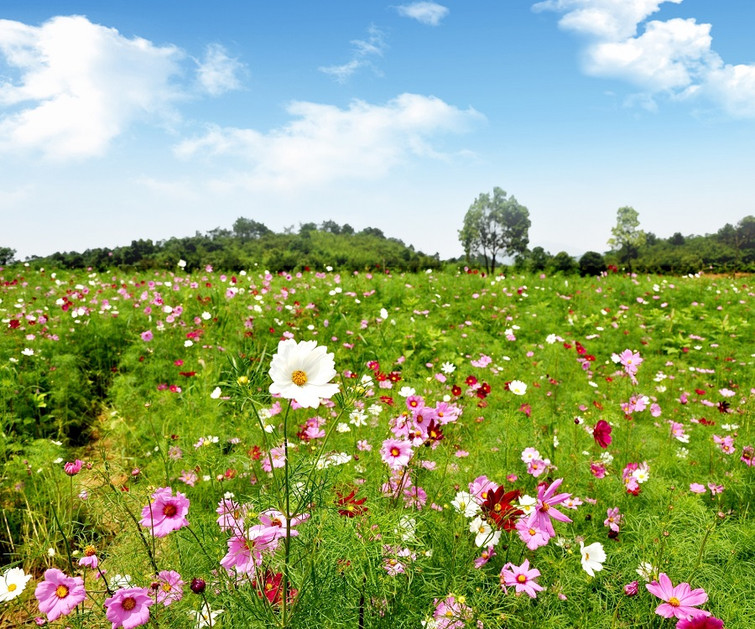 花千谷愛情石林景區門票價格-花千谷愛情石林景區門票預訂-花千谷愛情