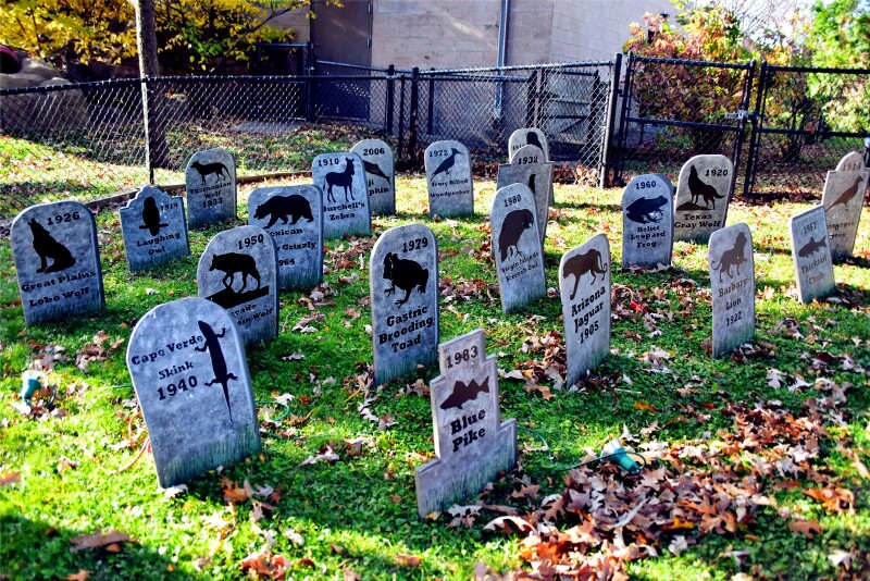 在科莫动物园里,还有一幕发人深省,就是这里有一片动物墓地,里面树了