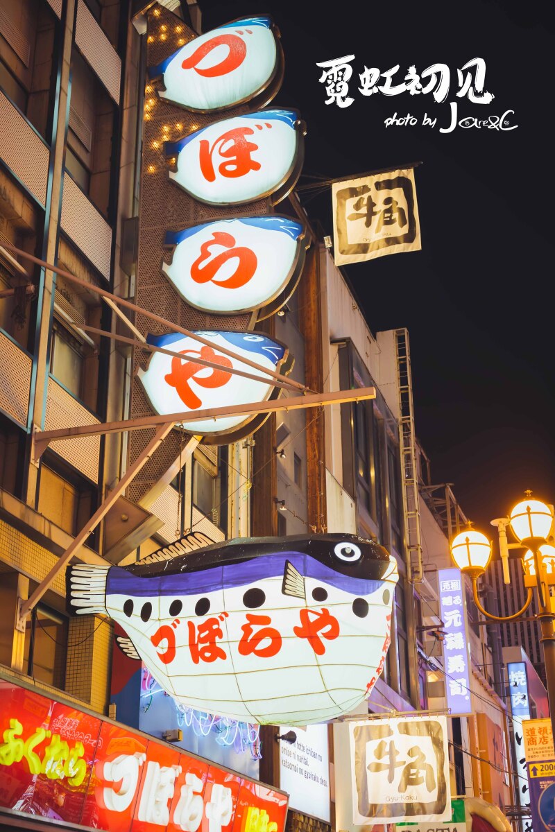 霓虹初见-大阪,奈良,京都,东京9天8晚亲子游_日本游记_途牛