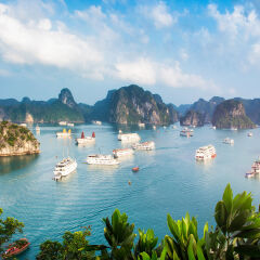 Halong Bay Vietnam panorama at sunset with anchored ships
