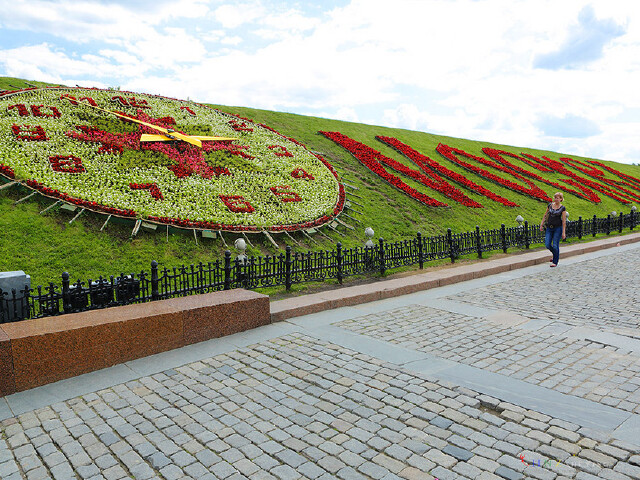 北京出发 世界杯巴西+波兰小组赛9日 波兰、小
