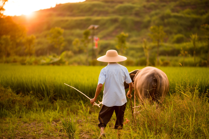 唯美的场面可不单单是美丽的少女,劳动人民