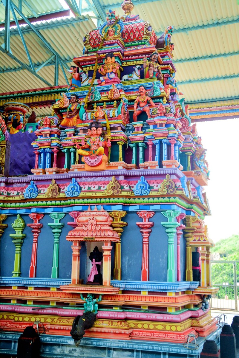 跟着夏宁葆到亭可马里自由行