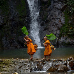 novice monk in Thailand.