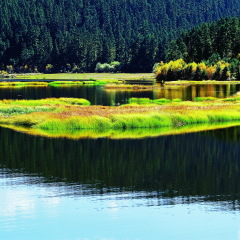 景点模块 