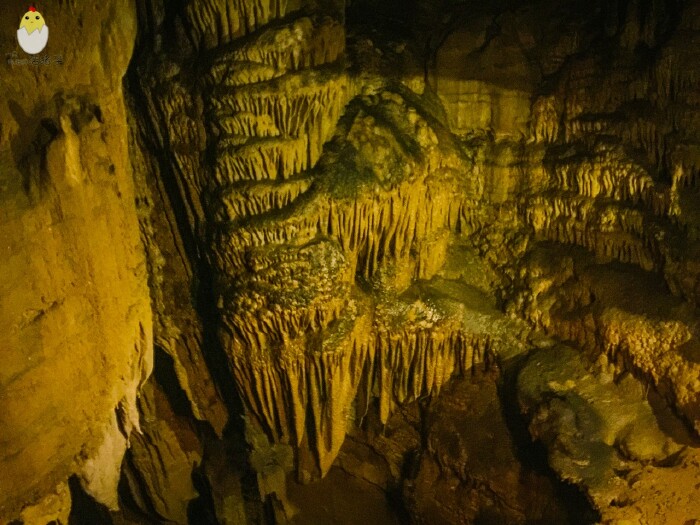 探索世界最长洞穴肯塔基猛犸洞国家公园mammothcavenationalpark