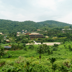 Areca valley in Hainan, China