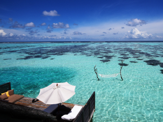 姬丽兰坎富士岛