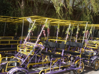 金昌花文化博览馆