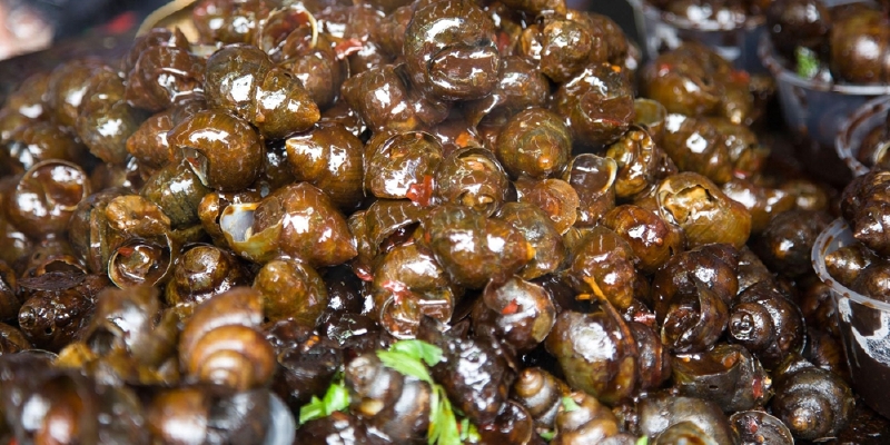 糟田螺_上海特色美食_上海小吃_途牛