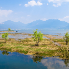 Lijiang Lashi Lake Wetlands is a national natural scenic spot near the city of Lijiang,China. The tourist activities there include horse riding, bird watching, boat ride and fishing. 
