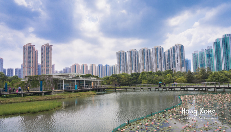 首發#【尖沙咀 溼地公園】2日1夜,領略香港的生態與繁華_天水圍遊記