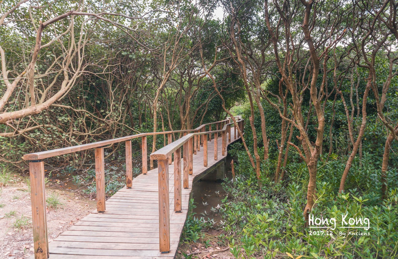 首發#【尖沙咀 溼地公園】2日1夜,領略香港的生態與繁華_天水圍遊記