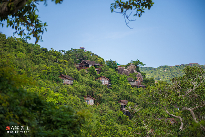        鸟巢度假村