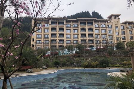巴中费尔顿大酒店豪华型