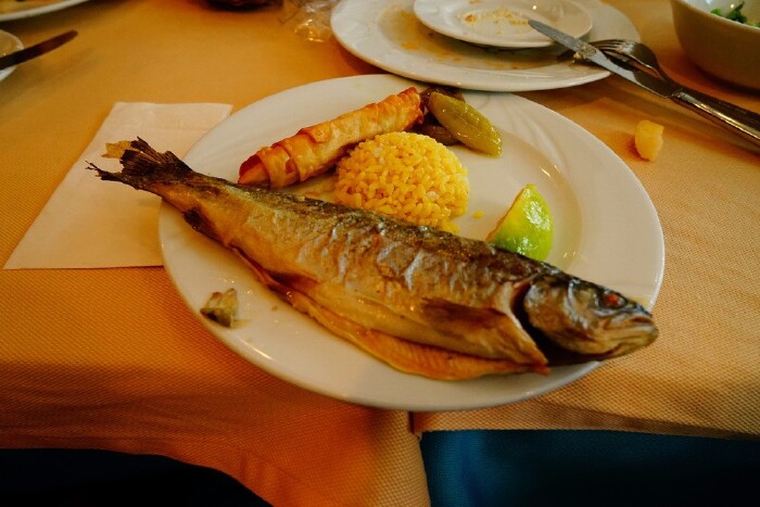 乱花渐欲迷人眼 —土耳其纪行