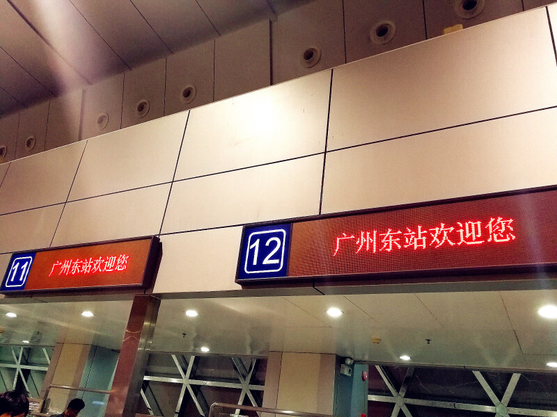 【途牛首发】隆冬季节,在厦门看树赏花,感受鹭岛浪漫风情_厦门游记_途