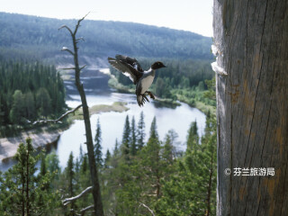 奥兰卡国家公园