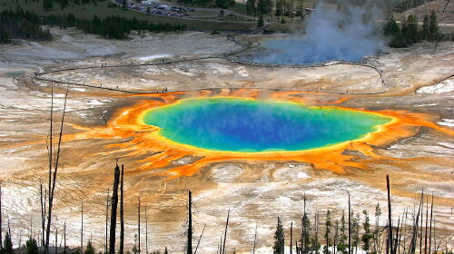 北美洲美国东西岸+墨西哥蒂华纳+加拿大东海