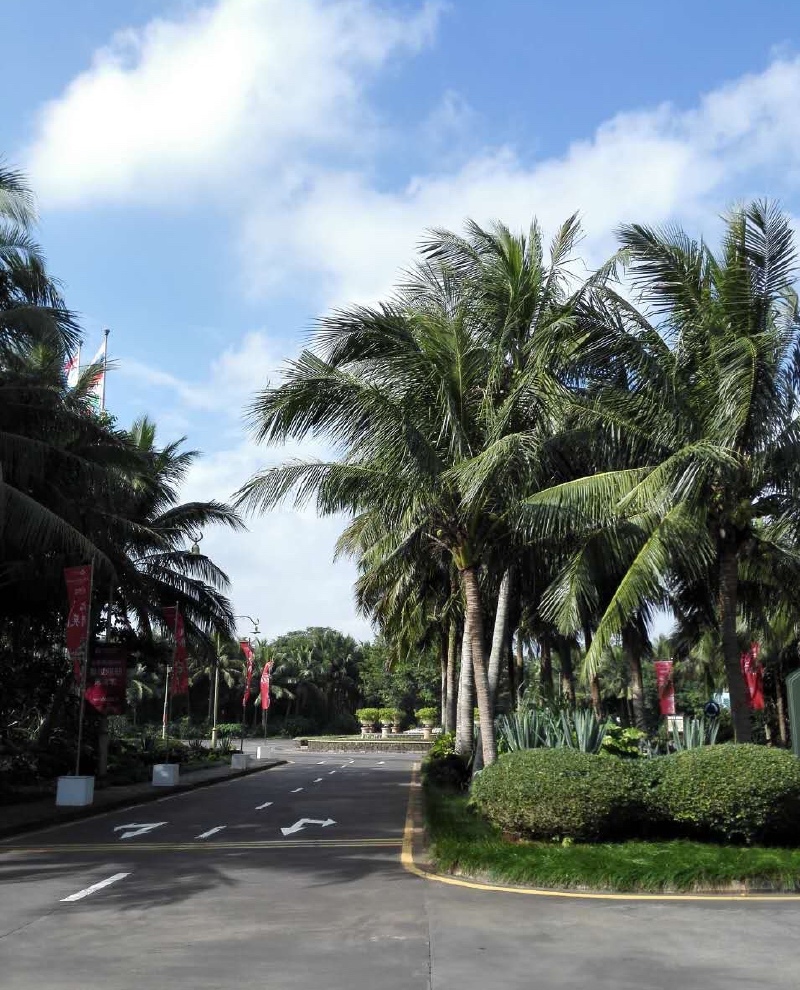 海口,白天空气清新