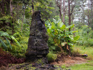 州立熔岩树公园