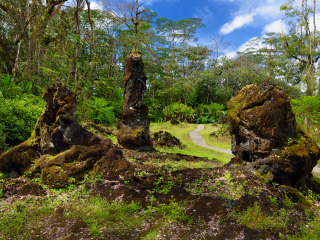 州立熔岩树公园