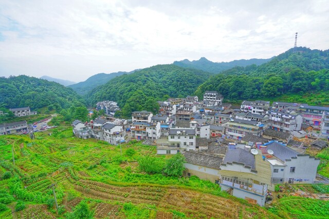 中國三大富硒村之一的大山村,地處皖南石臺縣仙