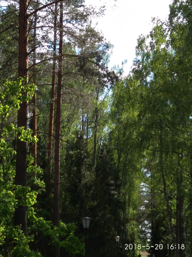 别列津国家公园