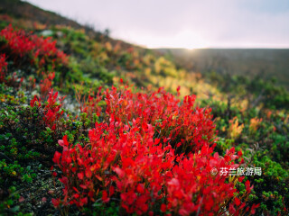 帕拉斯-于莱斯山国家公园