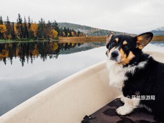帕拉斯-于莱斯山国家公园