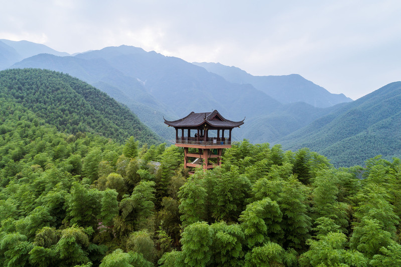 1.大竹海 《臥虎藏龍》拍攝地,到此一遊