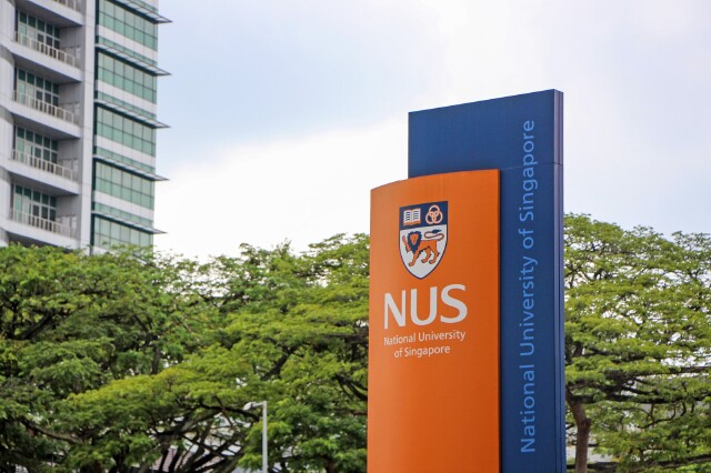 新加坡国立大学 摄影/强子