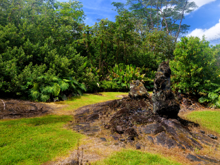 州立熔岩树公园