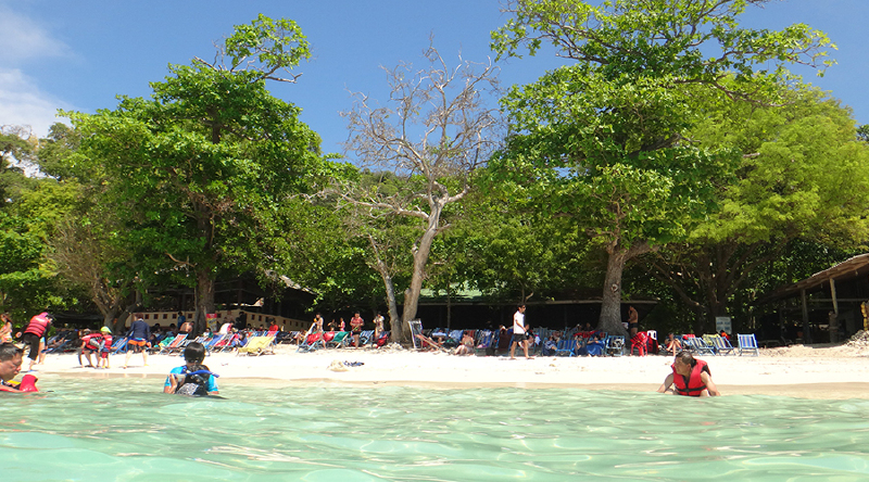 珊瑚岛快艇一日游 可选中文英文导游贴心服务